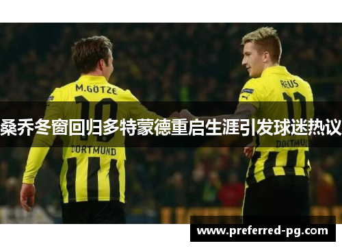 桑乔冬窗回归多特蒙德重启生涯引发球迷热议