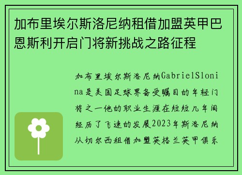 加布里埃尔斯洛尼纳租借加盟英甲巴恩斯利开启门将新挑战之路征程 加布里埃尔斯洛尼纳租借加盟英甲巴恩斯利开启门将新挑战之路征程